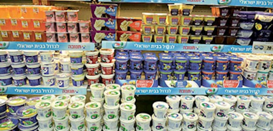 קוטג תנובה קניות סופרמרקט